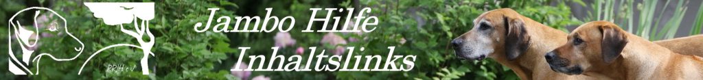 Baner-links